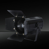 FS-F300-CTC/FS-F300MZ-CTC 600W 双色变焦菲涅尔聚光灯
